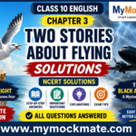 class 10 english, two stories about flying solutions,