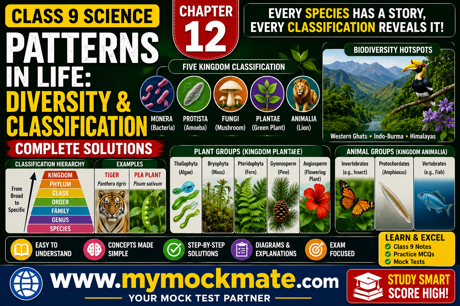 ncert class 9 science patterns in life diversity and classification solutions