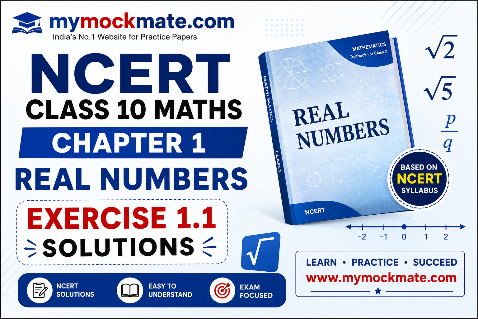 NCERT Class 10 Maths Chapter 1 Exercise 1.1 Solutions