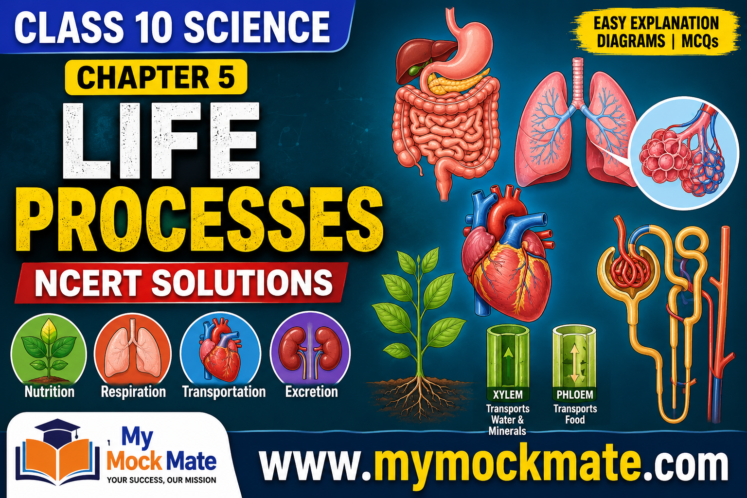 ncert class 10 science, carbon and its compounds, chapter 4 solutions, class 10 chemistry, ncert exercise answers, carbon compounds, covalent bond, ethanol and ethanoic acid,