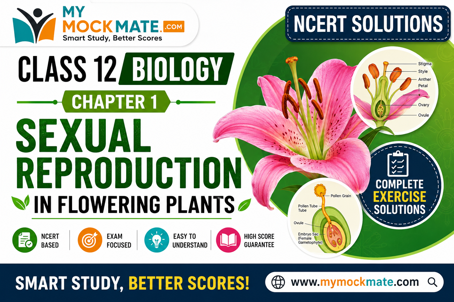 NCERT Class 12 Biology Chapter 1 Solutions Sexual Reproduction in Flowering Plants