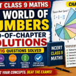 ncert class 9 maths end of chapter (the world of numbers) solutions